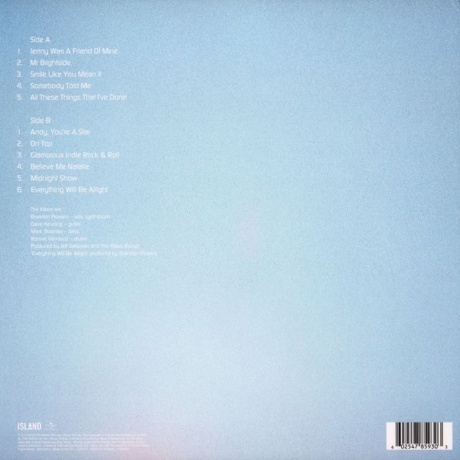 The Killers - Hot Fuss (0602547859303) виниловая пластинка - фото 2