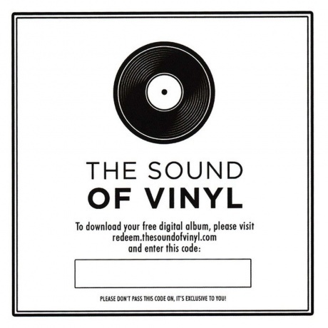 The Killers - Hot Fuss (0602547859303) виниловая пластинка - фото 7