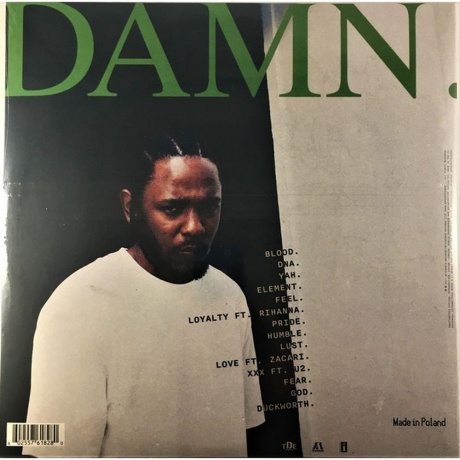 Kendrick Lamar - Damn (0602557618280) виниловая пластинка - фото 2