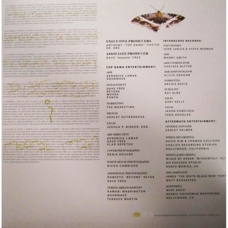 Kendrick Lamar - To Pimp A Butterfly (0602547311009) виниловая пластинка - фото 3