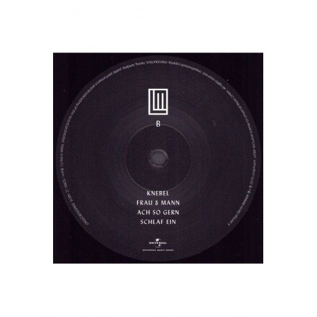 Виниловая пластинка Lindemann, F &amp; M (0602508110634) - фото 20