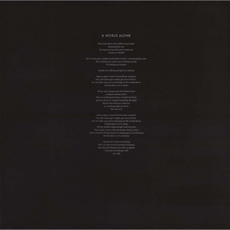 Lorde - Pure Heroine (0602537539857) виниловая пластинка - фото 11