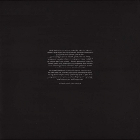 Lorde - Pure Heroine (0602537539857) виниловая пластинка - фото 14