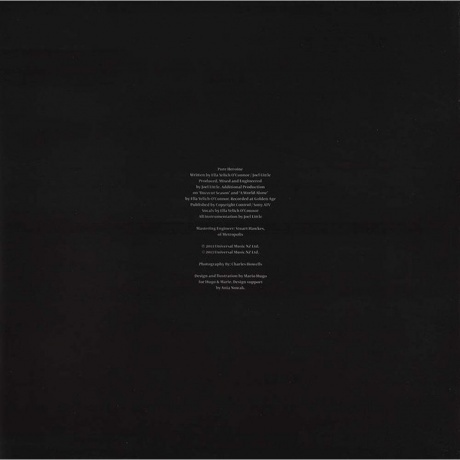 Lorde - Pure Heroine (0602537539857) виниловая пластинка - фото 16