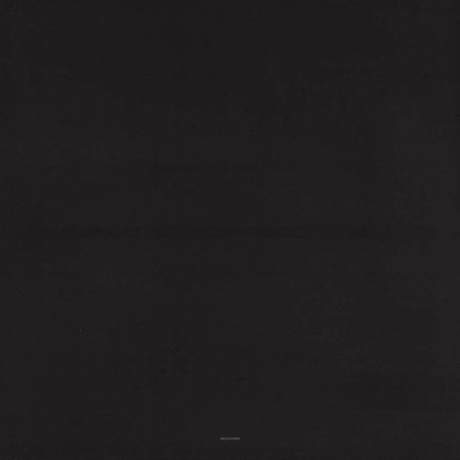 Lorde - Pure Heroine (0602537539857) виниловая пластинка - фото 17