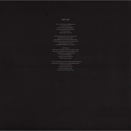 Lorde - Pure Heroine (0602537539857) виниловая пластинка - фото 10