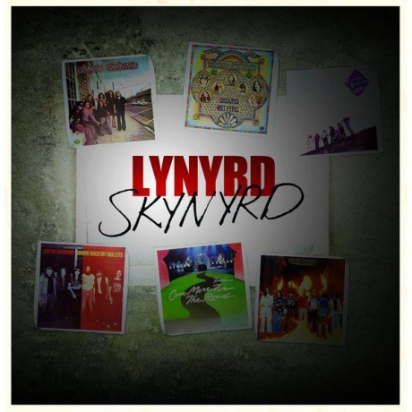 Виниловая пластинка Lynyrd Skynyrd, Lynyrd Skynyrd (Box) (0600753550151) - фото 2