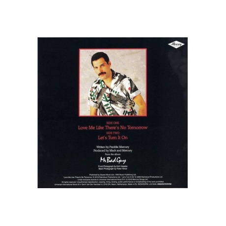 Виниловая пластинка Freddie Mercury, The Singles Collection (V7) (Box) (0602547878700) - фото 9