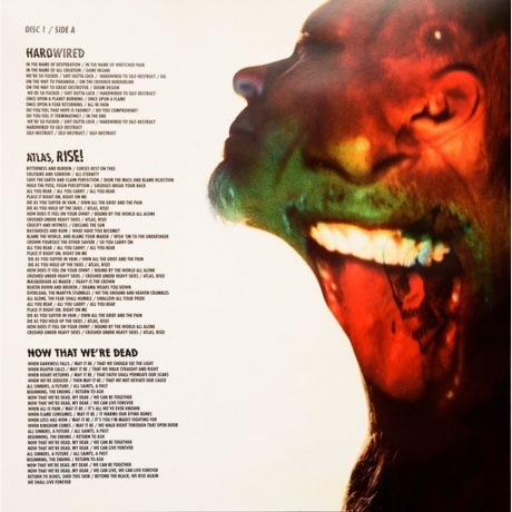 Metallica - Hardwired...To Self-Destruct (0602557156416) виниловая пластинка - фото 8