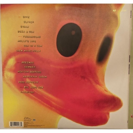 Nirvana - Incesticide (0602537204830) виниловая пластинка - фото 2