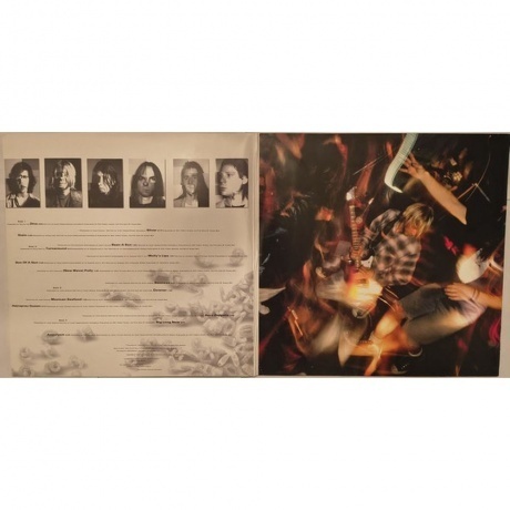 Nirvana - Incesticide (0602537204830) виниловая пластинка - фото 4