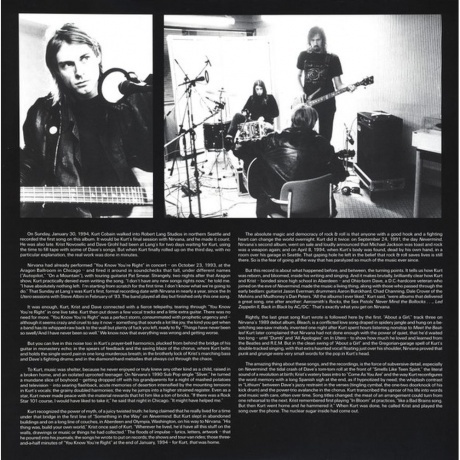 Nirvana - Nirvana (0602547289483) виниловая пластинка - фото 8