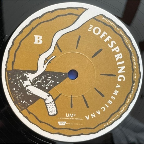 The Offspring, Americana (0602577951398) виниловая пластинка - фото 6