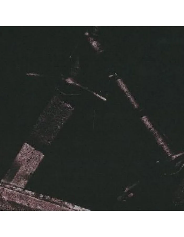 Виниловая пластинка Post Malone, Hollywood's Bleeding (0602508643132) - фото 2