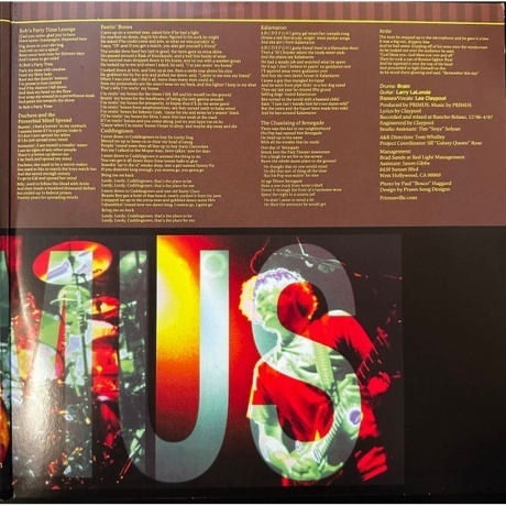 Primus - Brown Album (0602557539462) виниловая пластинка - фото 3