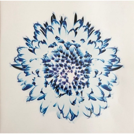 Rammstein - Herzeleid (0602527296630) виниловая пластинка - фото 16