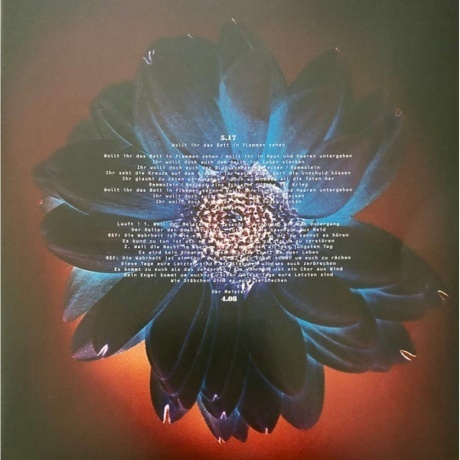 Rammstein - Herzeleid (0602527296630) виниловая пластинка - фото 18