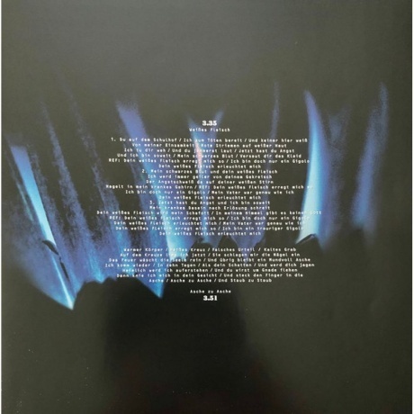 Rammstein - Herzeleid (0602527296630) виниловая пластинка - фото 20