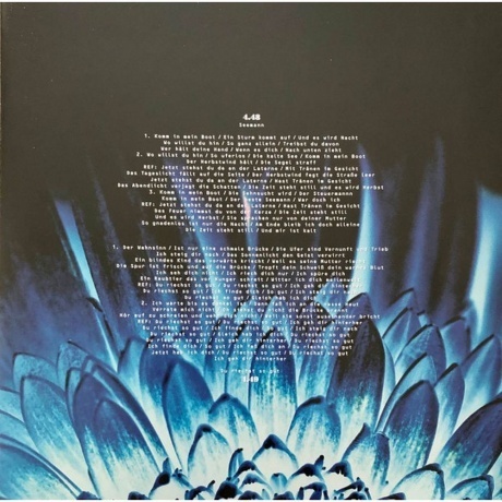 Rammstein - Herzeleid (0602527296630) виниловая пластинка - фото 22