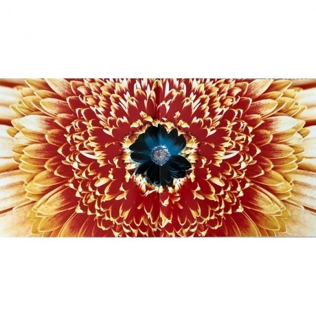 Rammstein - Herzeleid (0602527296630) виниловая пластинка - фото 23