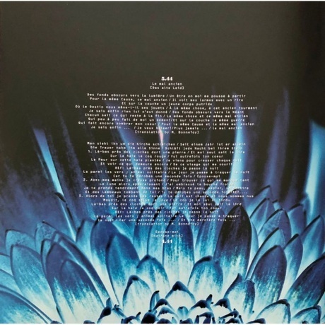 Rammstein - Herzeleid (0602527296630) виниловая пластинка - фото 24