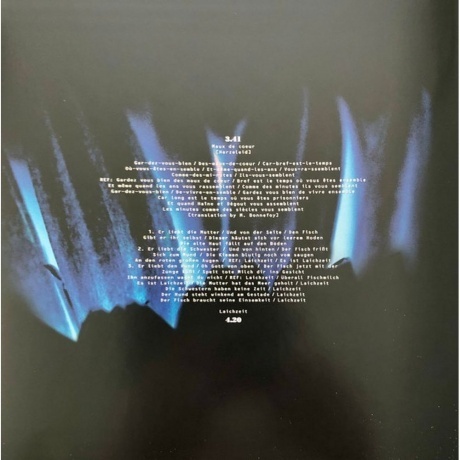 Rammstein - Herzeleid (0602527296630) виниловая пластинка - фото 26