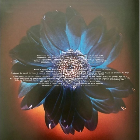 Rammstein - Herzeleid (0602527296630) виниловая пластинка - фото 28