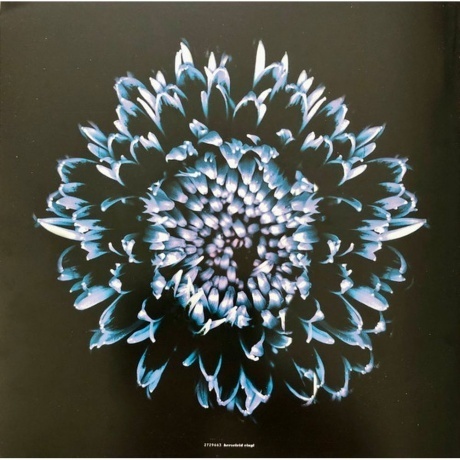 Rammstein - Herzeleid (0602527296630) виниловая пластинка - фото 30