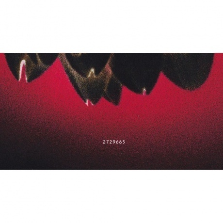 Rammstein - Herzeleid (0602527296630) виниловая пластинка - фото 36