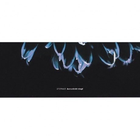 Rammstein - Herzeleid (0602527296630) виниловая пластинка - фото 37