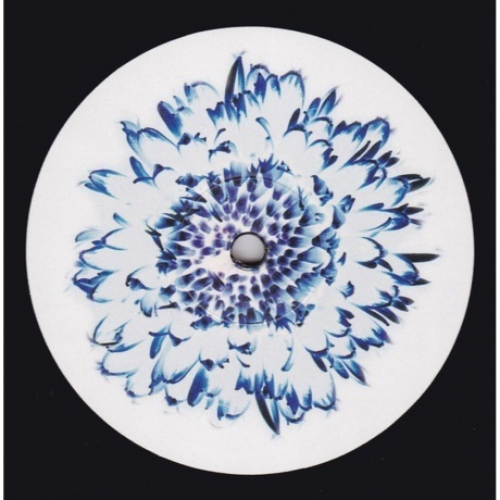 Rammstein - Herzeleid (0602527296630) виниловая пластинка - фото 6