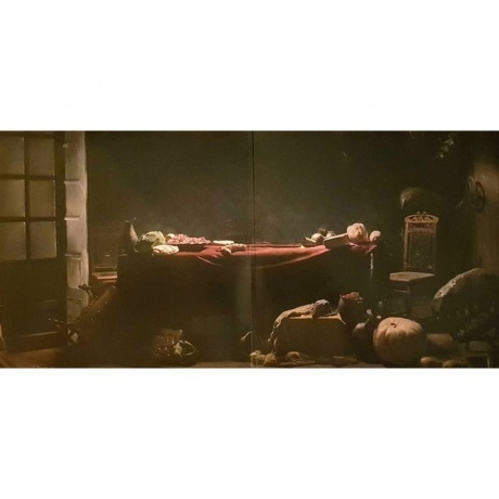 Rammstein - Liebe Ist Fur Alle Da (0602527296784) виниловая пластинка - фото 2