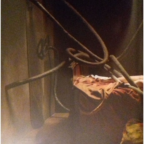 Rammstein - Liebe Ist Fur Alle Da (0602527296784) виниловая пластинка - фото 15