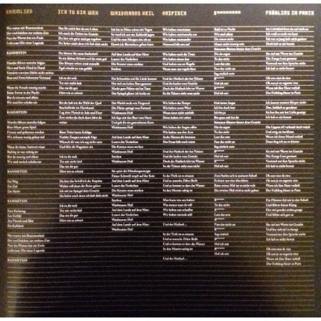 Rammstein - Liebe Ist Fur Alle Da (0602527296784) виниловая пластинка - фото 17