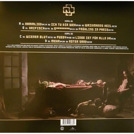 Rammstein - Liebe Ist Fur Alle Da (0602527296784) виниловая пластинка - фото 3