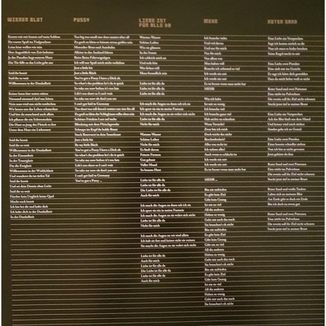 Rammstein - Liebe Ist Fur Alle Da (0602527296784) виниловая пластинка - фото 21