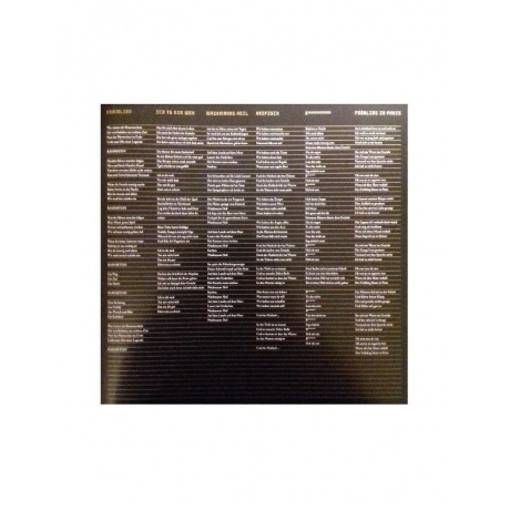 Rammstein - Liebe Ist Fur Alle Da (0602527296784) виниловая пластинка - фото 27