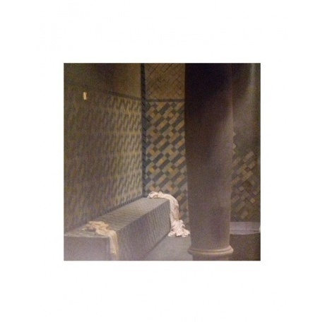 Rammstein - Liebe Ist Fur Alle Da (0602527296784) виниловая пластинка - фото 28