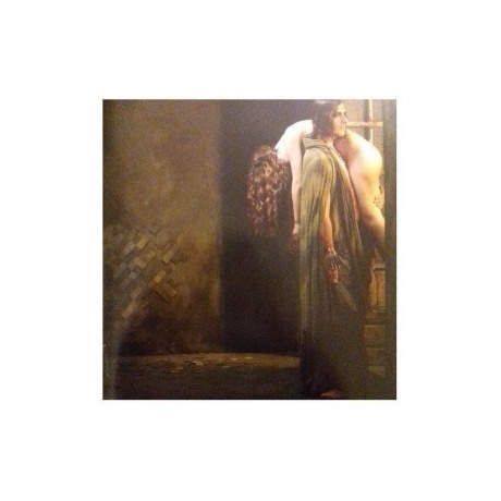 Rammstein - Liebe Ist Fur Alle Da (0602527296784) виниловая пластинка - фото 29