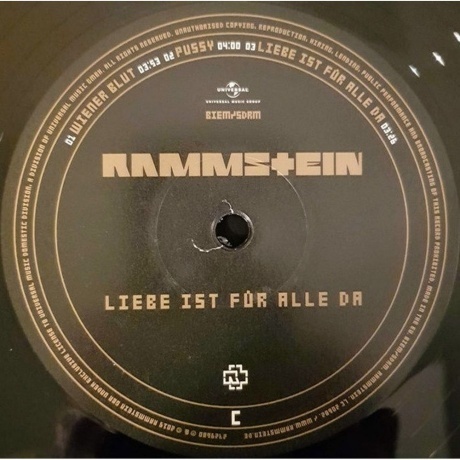 Rammstein - Liebe Ist Fur Alle Da (0602527296784) виниловая пластинка - фото 6