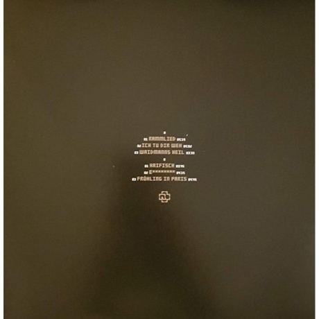 Rammstein - Liebe Ist Fur Alle Da (0602527296784) виниловая пластинка - фото 8