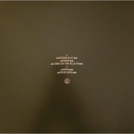 Rammstein - Liebe Ist Fur Alle Da (0602527296784) виниловая пластинка - фото 10