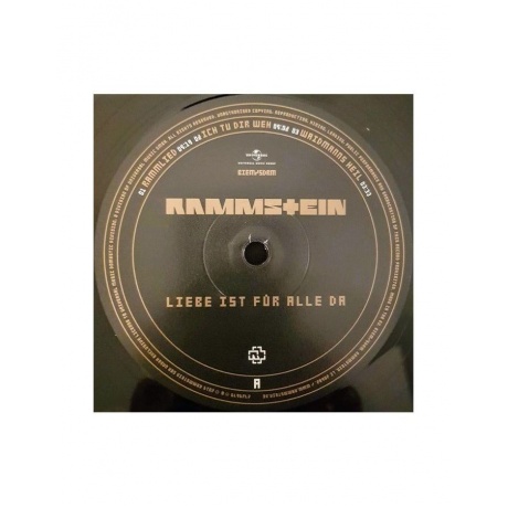 Виниловая пластинка Rammstein, Liebe Ist Fur Alle Da (0602527296784) - фото 9