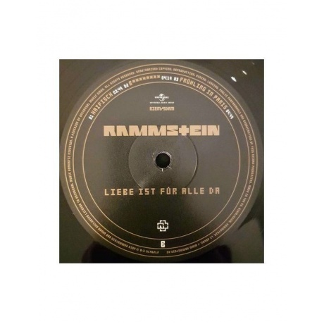 Виниловая пластинка Rammstein, Liebe Ist Fur Alle Da (0602527296784) - фото 10