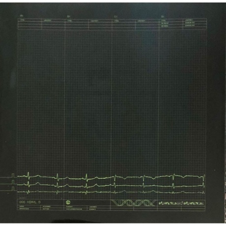 Rammstein - Mutter (0602527296692) виниловая пластинка - фото 12