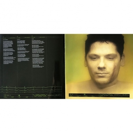 Rammstein - Mutter (0602527296692) виниловая пластинка - фото 14