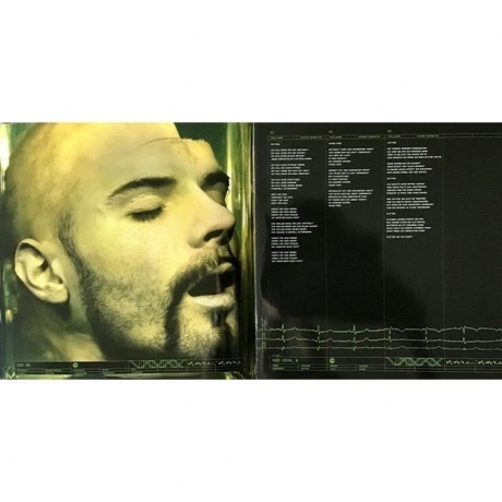 Rammstein - Mutter (0602527296692) виниловая пластинка - фото 15