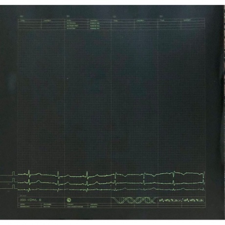 Rammstein - Mutter (0602527296692) виниловая пластинка - фото 10