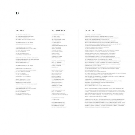 Rammstein - Rammstein (0602577493942) виниловая пластинка - фото 11