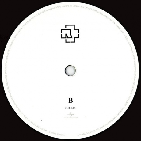 Rammstein - Rammstein (0602577493942) виниловая пластинка - фото 5